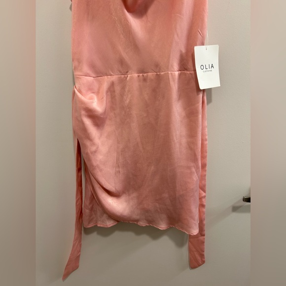 NWT Olia Clothing Here With Us Satin Mini Dress in Pink - Picture 9 of 10